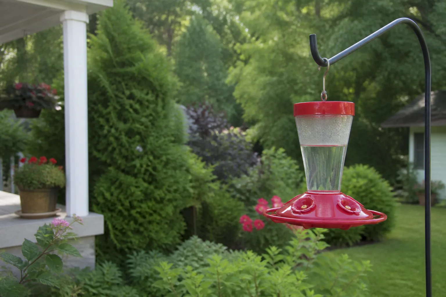 Red hummingbird feeder hanging from a backyard hook among garden flowers