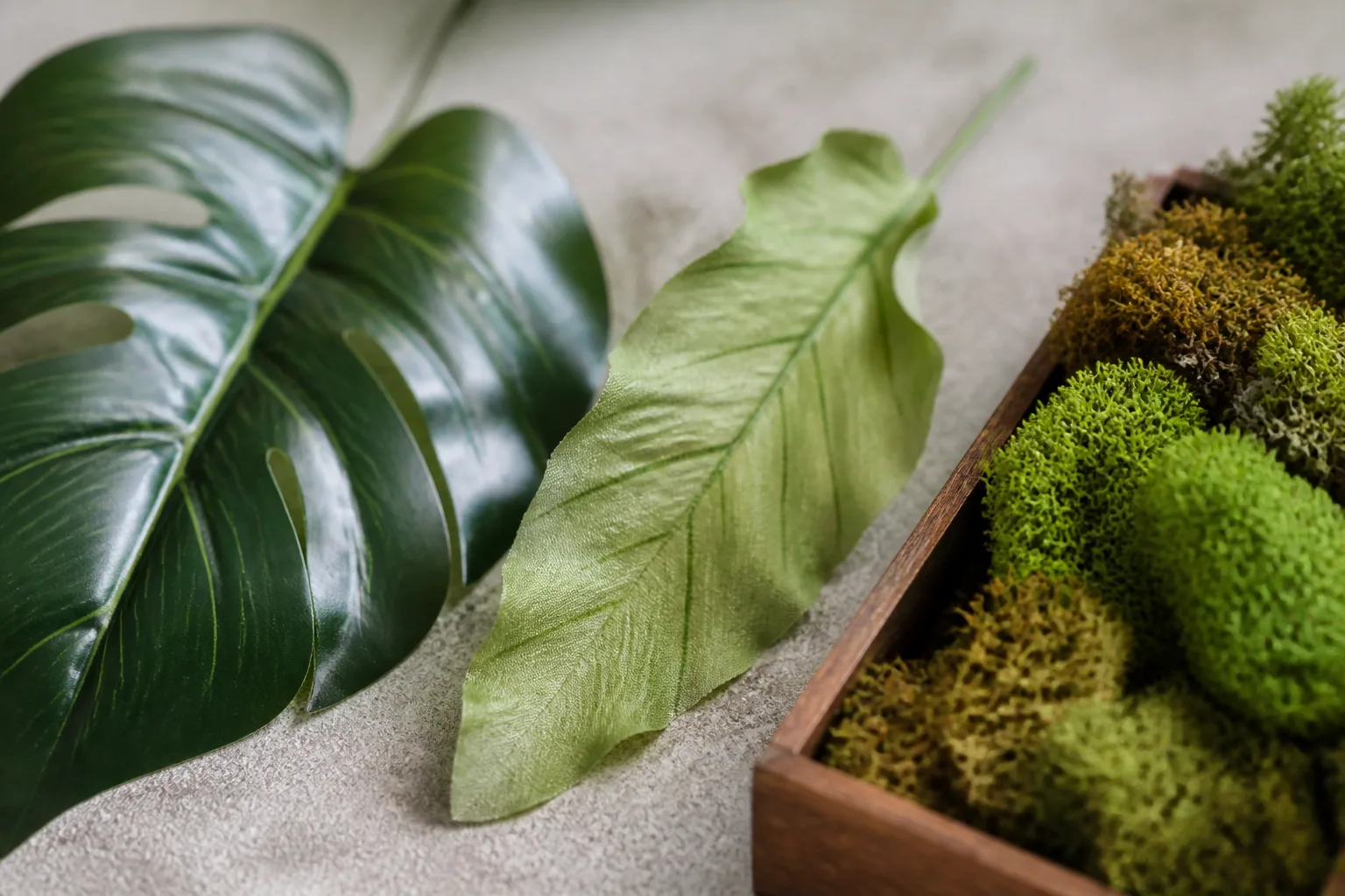 Close-up of artificial foliage with different green tones, leaf surfaces, and decorative moss
