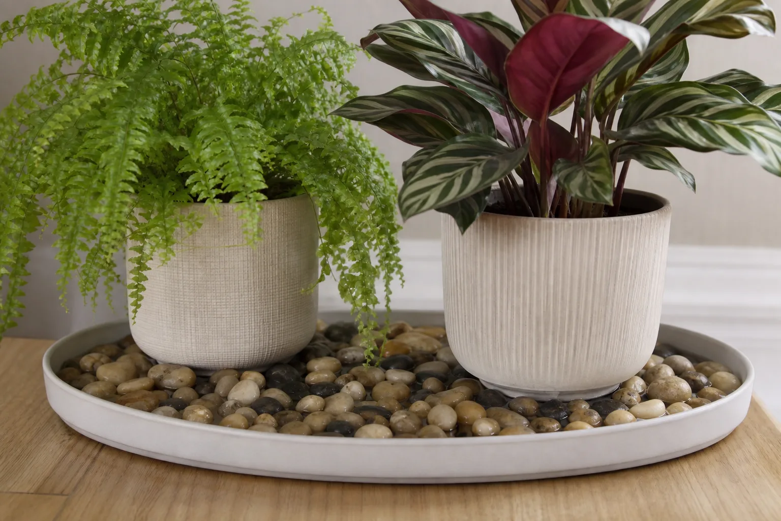 Best Candidates For A Pebble Tray for best candidates for a pebble tray