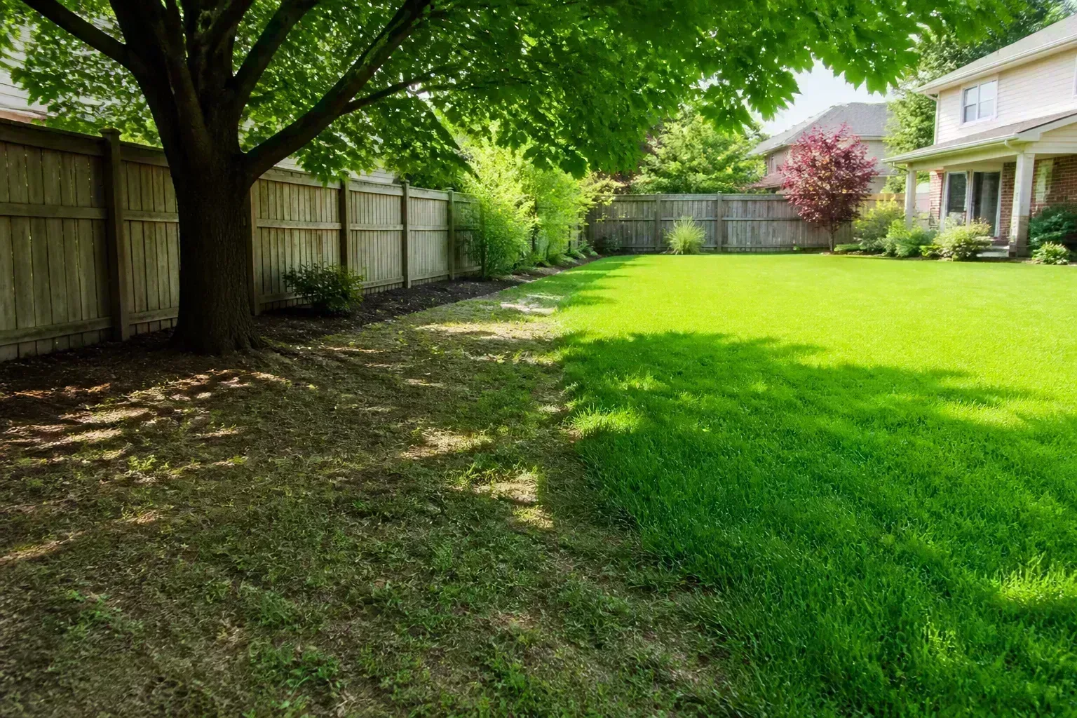 Lawn strip under deciduous trees where dappled sun and deep shade shift across the turf through the day