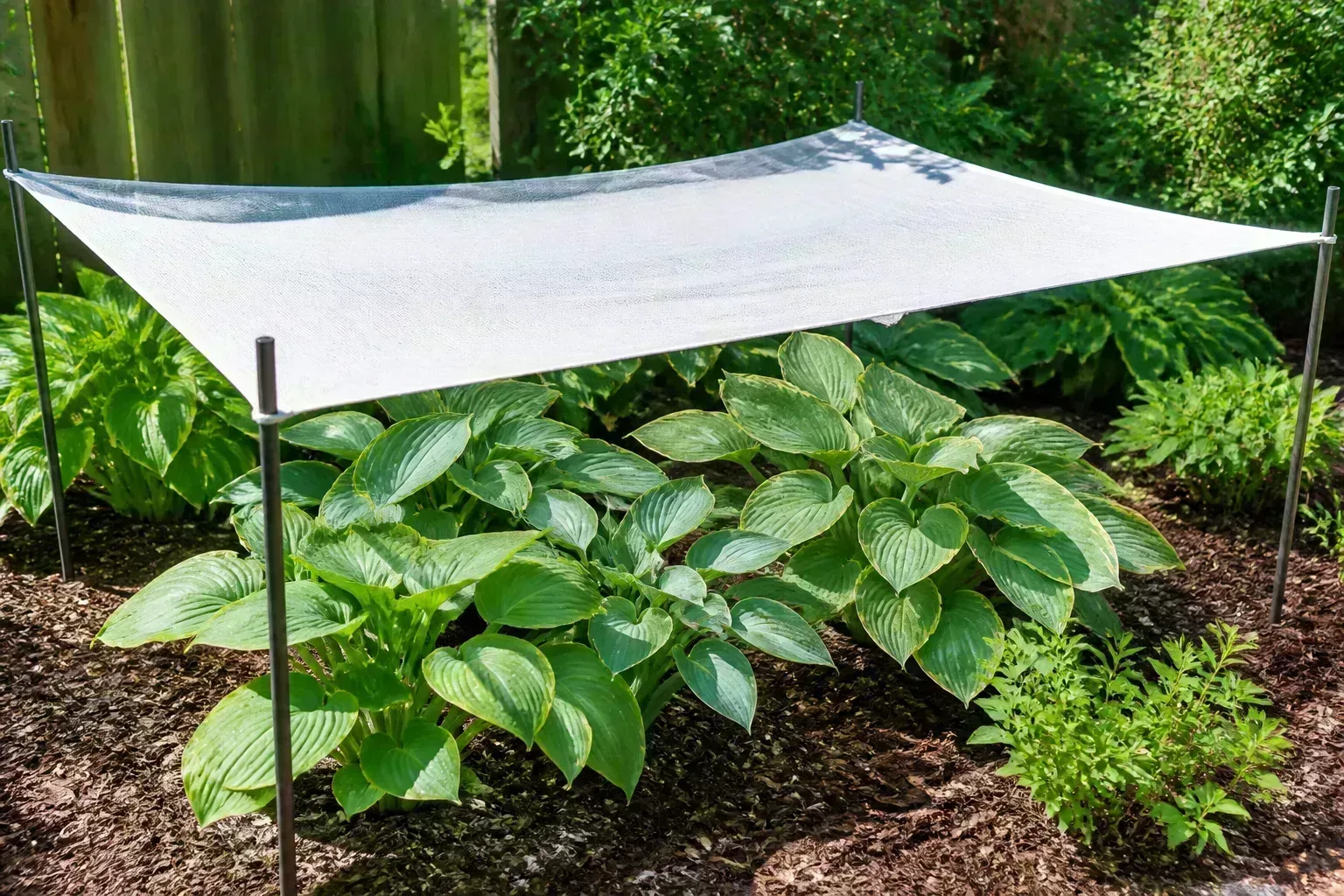 Shade cloth over a moist garden bed to protect shade-loving plants from hot sun