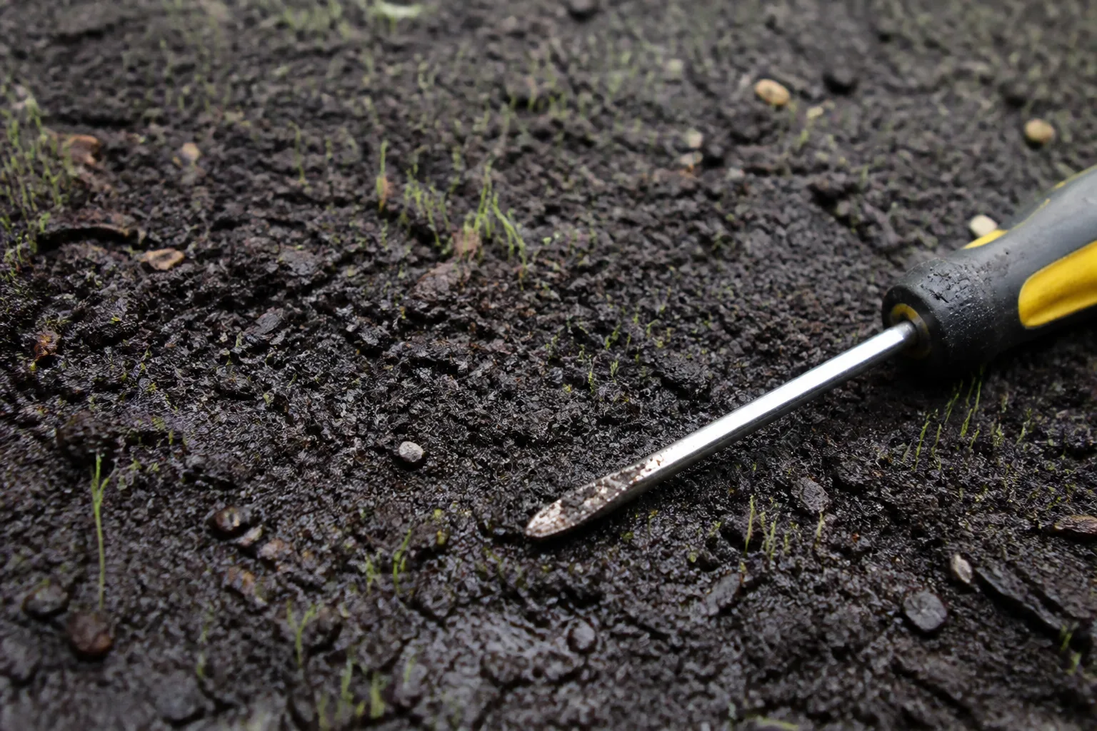 The Quick Answer Keep The Seed Zone Moist Not Flooded for the quick answer: keep the seed zone moist, not flooded