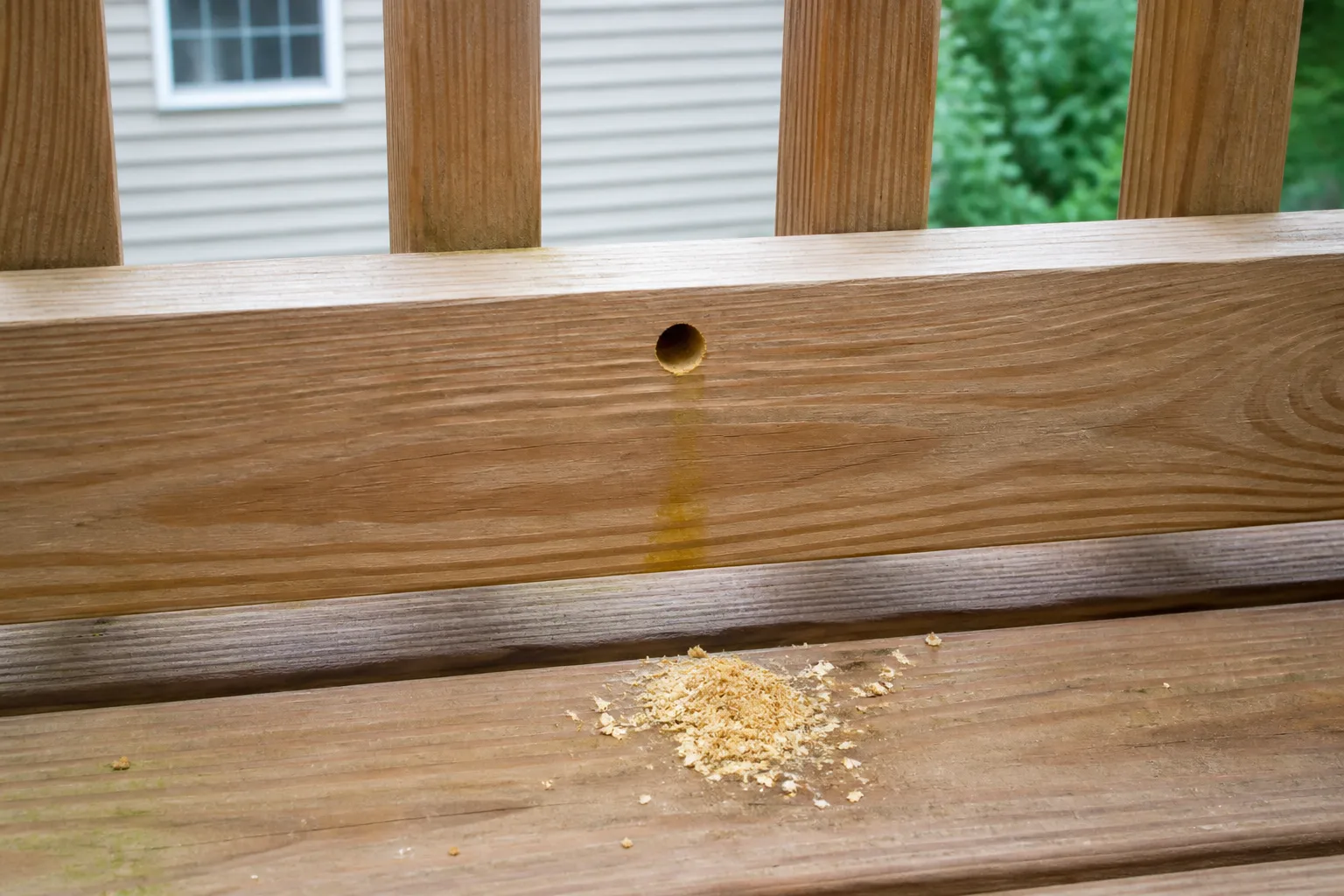 Carpenter bee entrance hole with coarse sawdust collected on a wooden deck surface