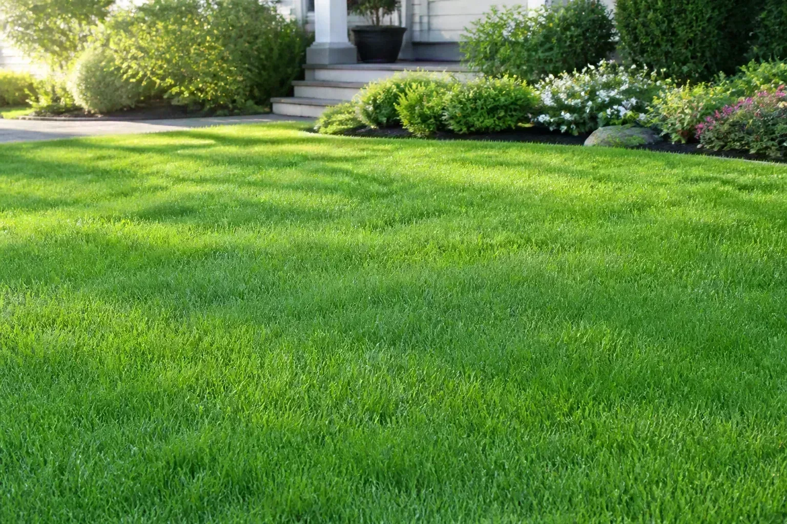 Hero illustrating 5 ways to help your lawn grow faster this season