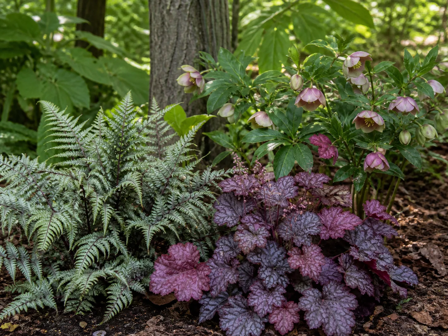 Japanese painted fern and shade perennials in a woodland-edge garden bed