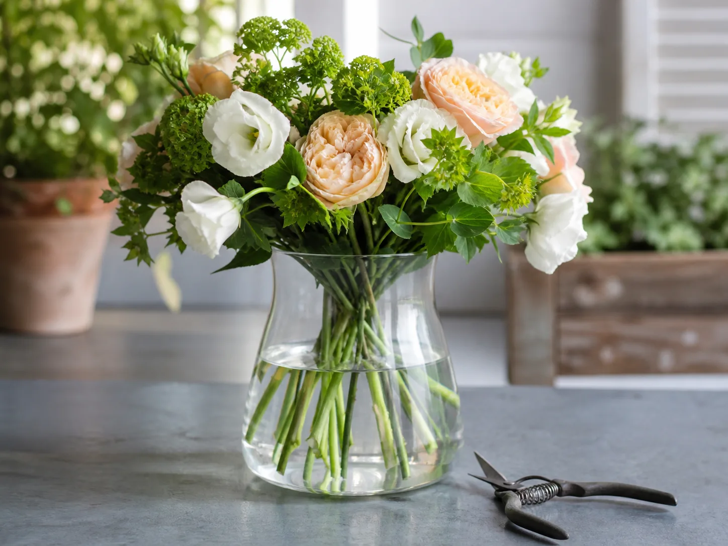 Fresh cut flowers being conditioned in clean water before transport
