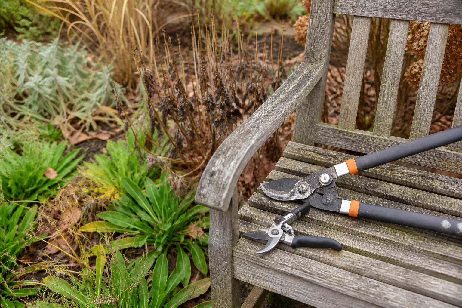 Pruning tools beside a perennial bed ready for a fall cutback