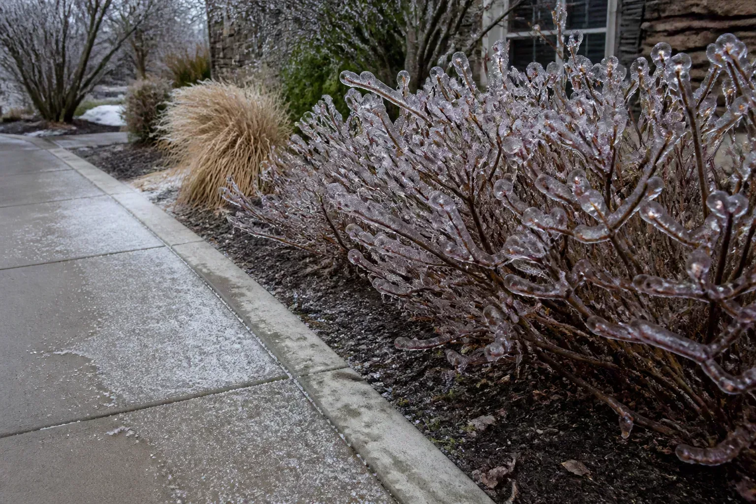 De-icing salt and slush tracked from a treated walkway onto the grass strip beside a porch in winter