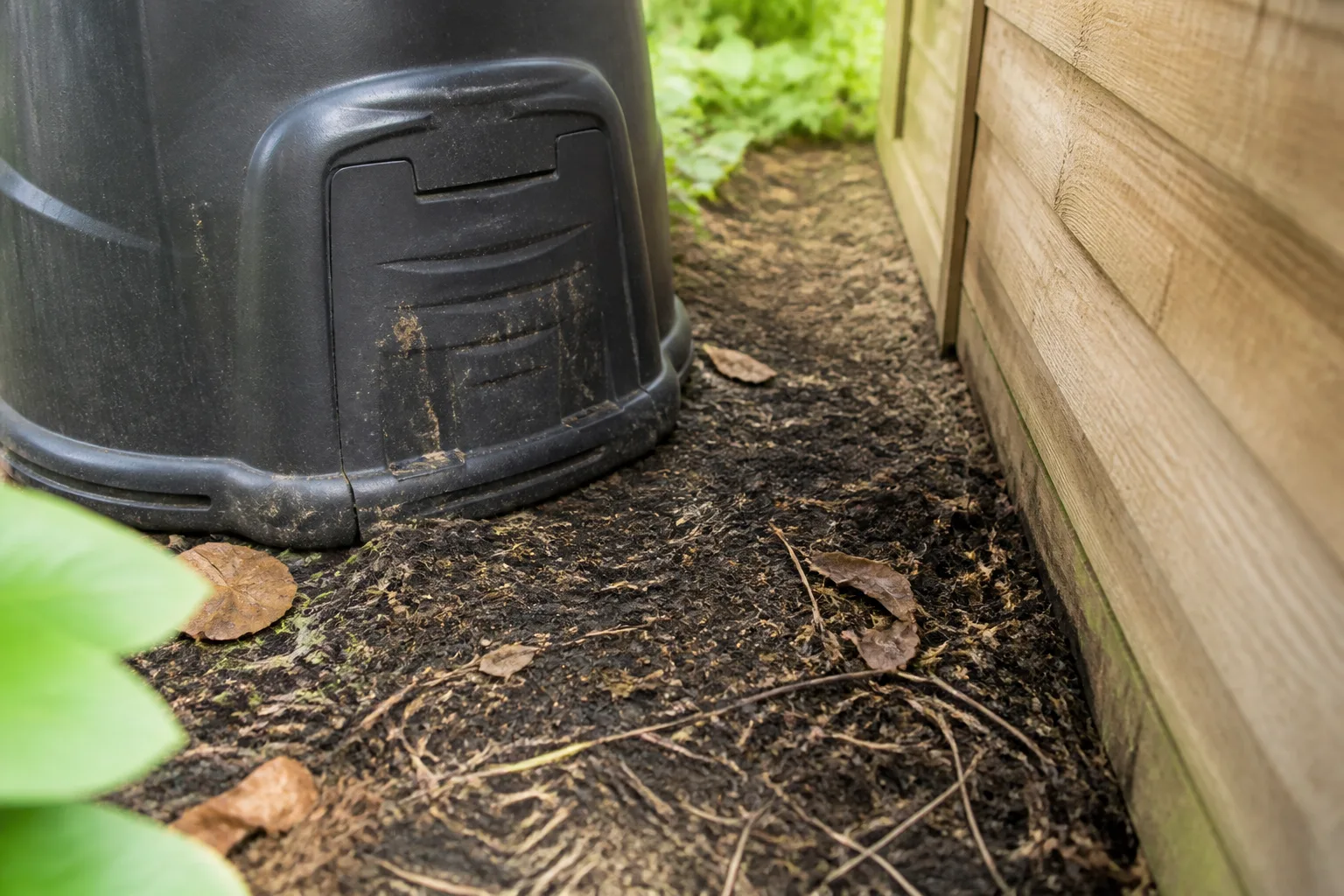 A closed compost bin beside a garden bed where pest access can be inspected