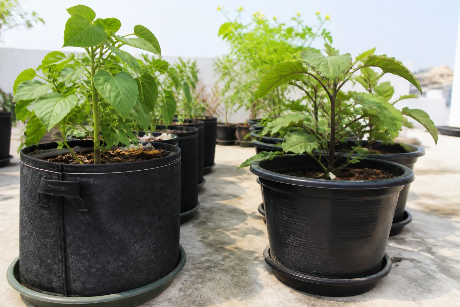 Fabric grow bags and mobile planters arranged on a sunny terrace