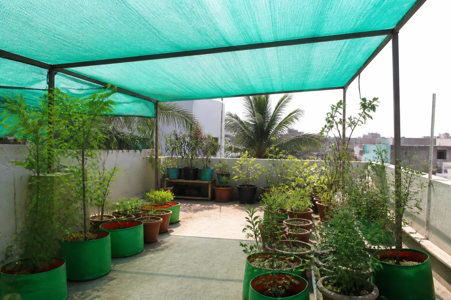 Grow bags and pots arranged beneath shade cloth on an urban terrace
