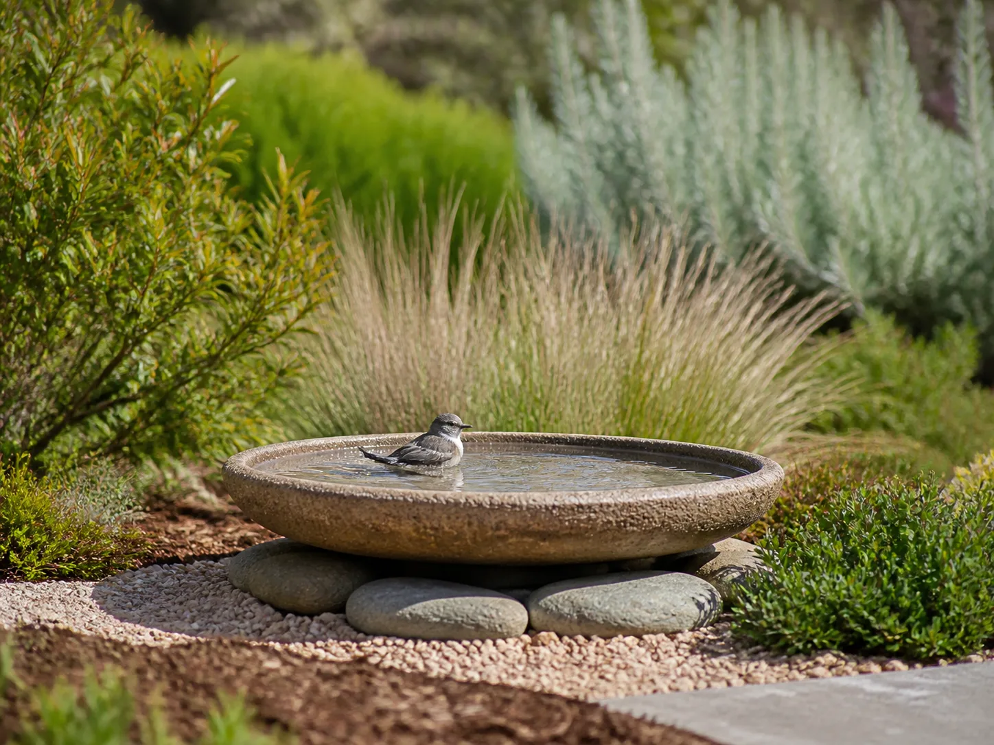 A small bird bathing in a shallow stone bird bath in a garden
